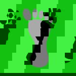 Pé Descalço (Barreiro)