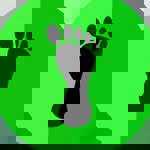 Pé Descalço Conceição