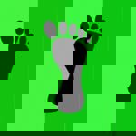 Pé Descalço Pampulha