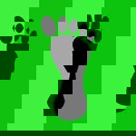 Pé Descalço (PD Savassi)