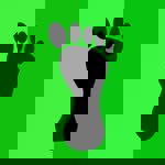 Pé Descalço (Cidade Nova)