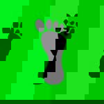 Pé Descalço Escola de Dança