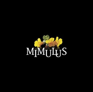 Mimulus