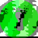 Pé Descalço Paulista - Escola de Dança (Forró)