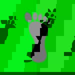 Pé Descalço Castelo