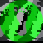 Pé Descalço Pinheiros