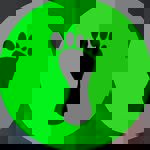 Pé Descalço Rio de Janeiro